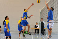 Volleyball-TVD-TVL015