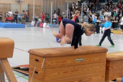 gaukingerturnfest-20123