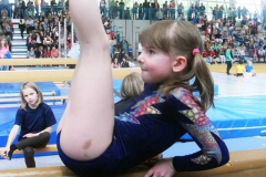 gaukingerturnfest-20128