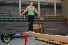 2010-11-24-20-12-37_schneiders-madels