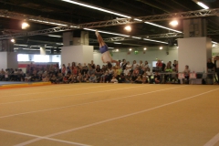 deutsches-turnfest-frankfurt-20