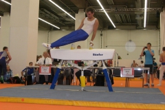 deutsches-turnfest-frankfurt-22