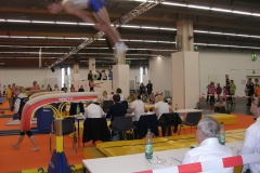 deutsches-turnfest-frankfurt-28