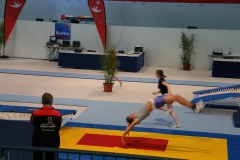 deutsches-turnfest-frankfurt-54