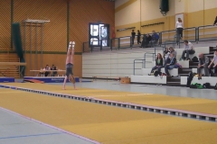sam_1111
