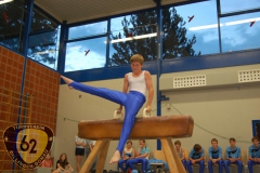 2011-07-08_gauliga2_gundelfingen_22
