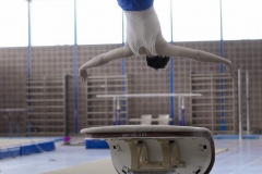 2017-06-30 18-34-21 - Gauliga 2017 - 2 Gundelfingen 84