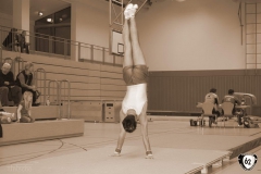 2012-03-16-20-25-38_gauliga-2012-nr1-in-wertingen