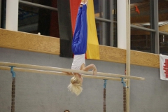 2010-10-08-19-17-32_3_gauliga_in_dillingen