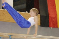 2010-10-08-19-19-58_3_gauliga_in_dillingen