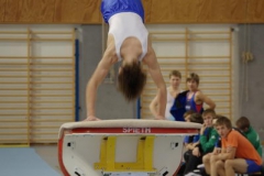 2010-10-08-19-39-24_3_gauliga_in_dillingen