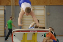 2010-10-08-19-40-17_3_gauliga_in_dillingen