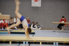2010-10-08-19-55-24_3_gauliga_in_dillingen