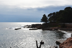 2013-02-10-14-28-37_monaco-im-feburar_handstand-aus-aller-welt