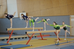 2011-04-09-14-53-01_jahresturnen