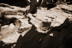2011-08-09-11-28-34_klippenspringen-in-ponte-brolla_2