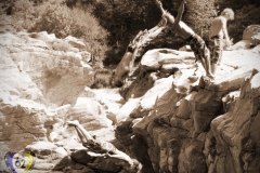 2011-08-10-11-44-43_klippenspringen-in-ponte-brolla_allinone2