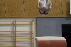 Landesliga Testwettkampf in der Saison 2009 TV 1862 Dillingen gegen Wiggensbach