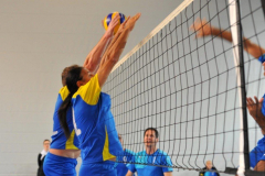 Volleyball-TVD-TVL002