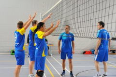 Volleyball-TVD-TVL003