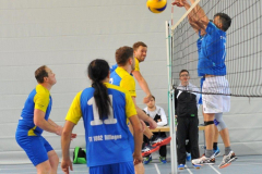 Volleyball-TVD-TVL007