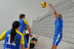 Volleyball-TVD-TVL008