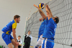 Volleyball-TVD-TVL010