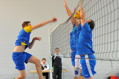 Volleyball-TVD-TVL011