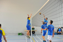 Volleyball-TVD-TVL013