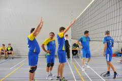 Volleyball-TVD-TVL014