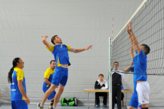 Volleyball-TVD-TVL016