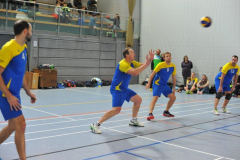 Volleyball-TVD-TVL018