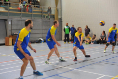 Volleyball-TVD-TVL020
