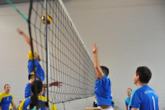Volleyball-TVD-TVL022