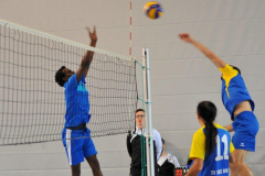 Volleyball-TVD-TVL038