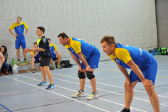 Volleyball-TVD-TVL045