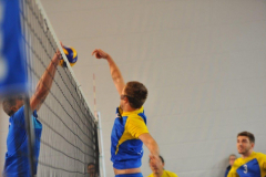 Volleyball-TVD-TVL048