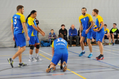 Volleyball-TVD-TVL050