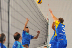 Volleyball-TVD-TVL051
