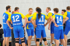 Volleyball-TVD-TVL065