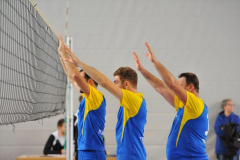 Volleyball-TVD-TVL068