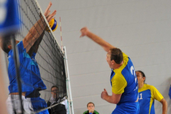 Volleyball-TVD-TVL071