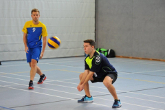 Volleyball-TVD-TVL077