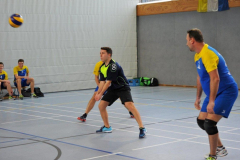 Volleyball-TVD-TVL081