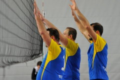 Volleyball-TVD-TVL083