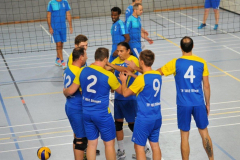 Volleyball-TVD-TVL099