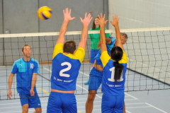 Volleyball-TVD-TVL107