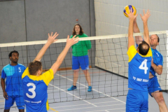 Volleyball-TVD-TVL116