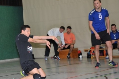Volleyball-Herren-TV-Dillingen24