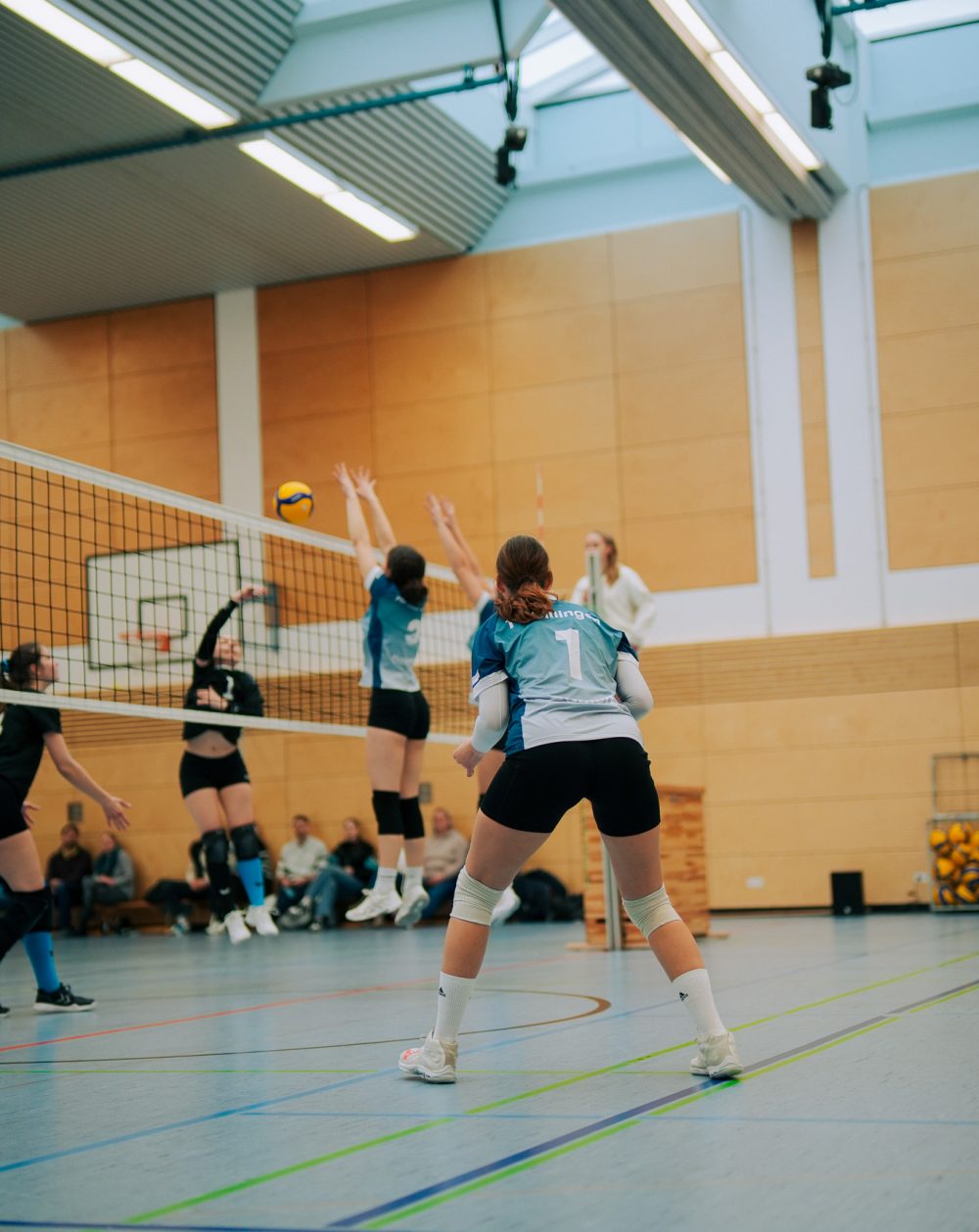 Bild von Studiomelia